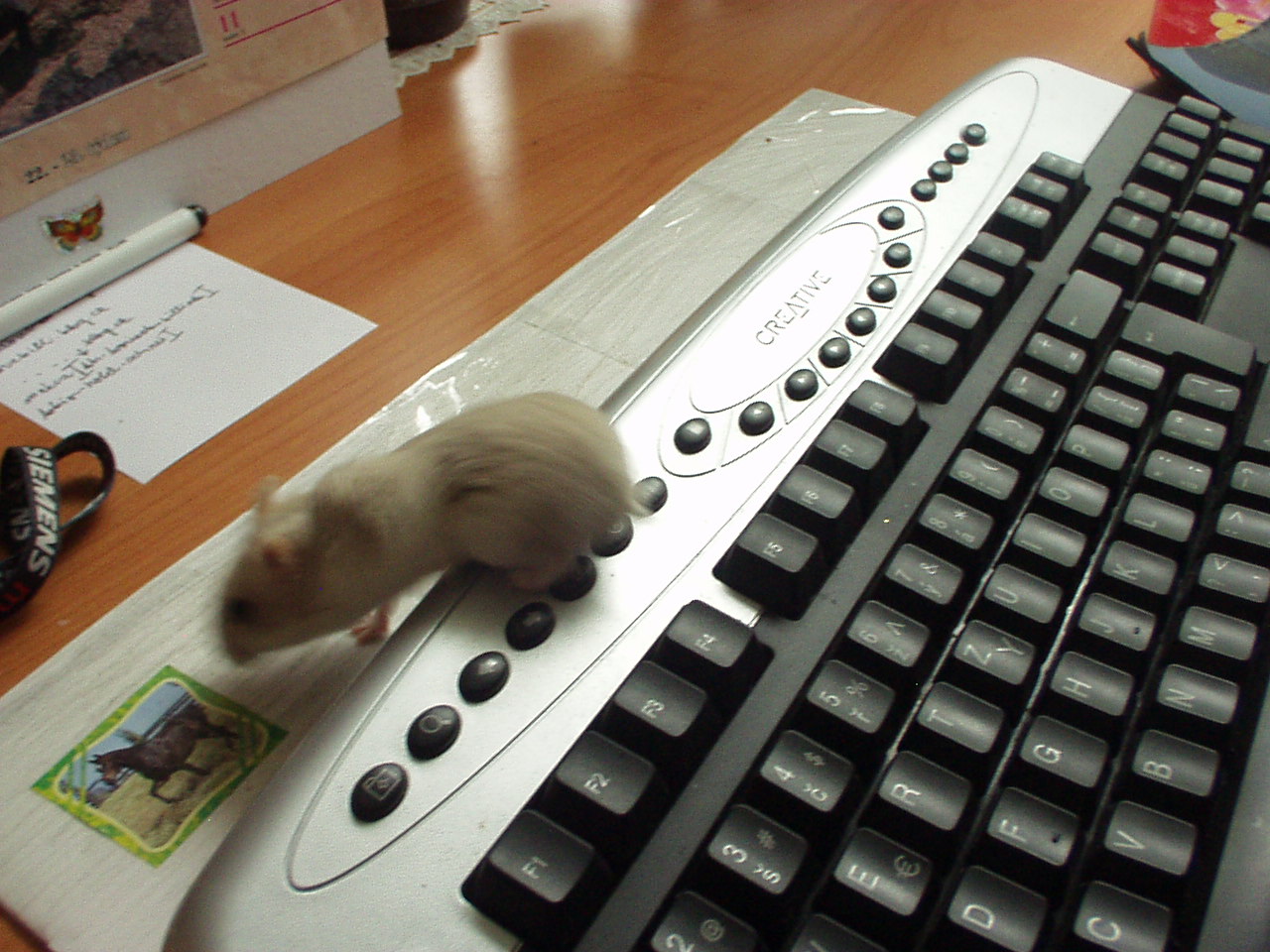 Už nechce být počítačový maniak