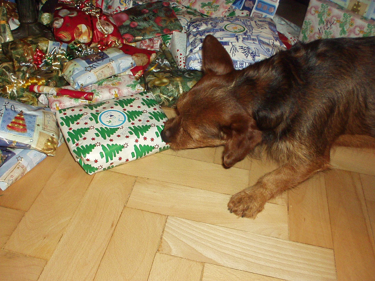 Myslí, že je to pro něj